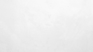 Extra White