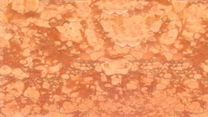 Red Verona